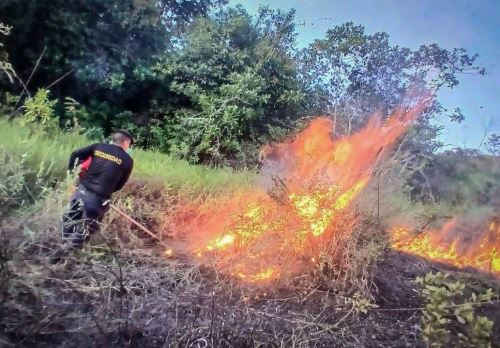 La Oficina Regional de Gestión de Riesgo de Desastres y Seguridad (ORGRDS) Cusco advirtió que el riesgo de nuevos incendios forestales en esa región se prolongará hasta diciembre. ANDINA/Difusión