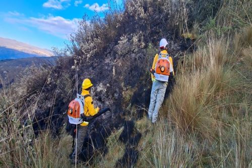 Especialistas del parque ya se encuentran en el lugar evaluando el impacto para implementar las medidas de restauración correspondientes.