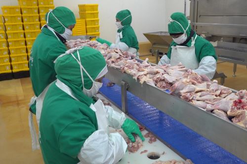Planta procesadora de carne de ave. ANDINA/Difusión