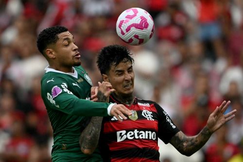 Palmeiras y Flamengo buscarán la gloria en la final de la Copa Libertadores, que se jugará este sábado en el Monumentalñ de Ate.