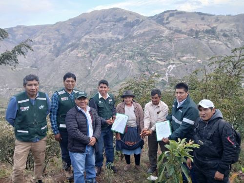 El Serfor formaliza a más de 100 productores de tara de Apurímac y con la ayuda de otras instituciones impulsa la competitividad de este producto en la región. ANDINA/Difusión