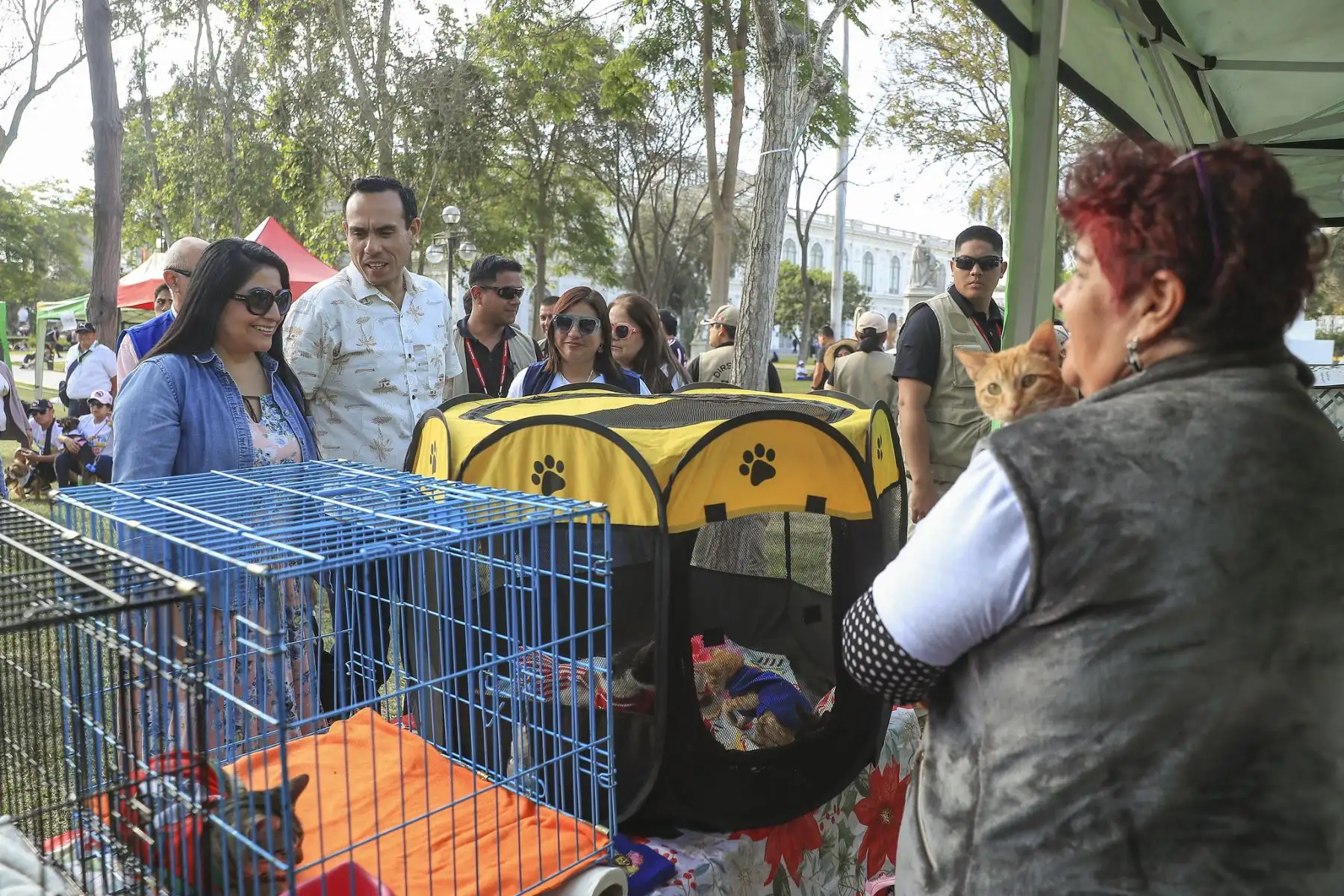 El presidente José Jerí y la ministra de Economía, Denisse Miralles, expresaron su respaldo a las organizaciones animalistas que participaron en la Adoptatón 2025, un evento de la Fundación Rayito con apoyo de la Municipalidad de Lima, destinado a ayudar a que más perros y gatos encuentren un hogar cálido y definitivo. Foto: Presidencia