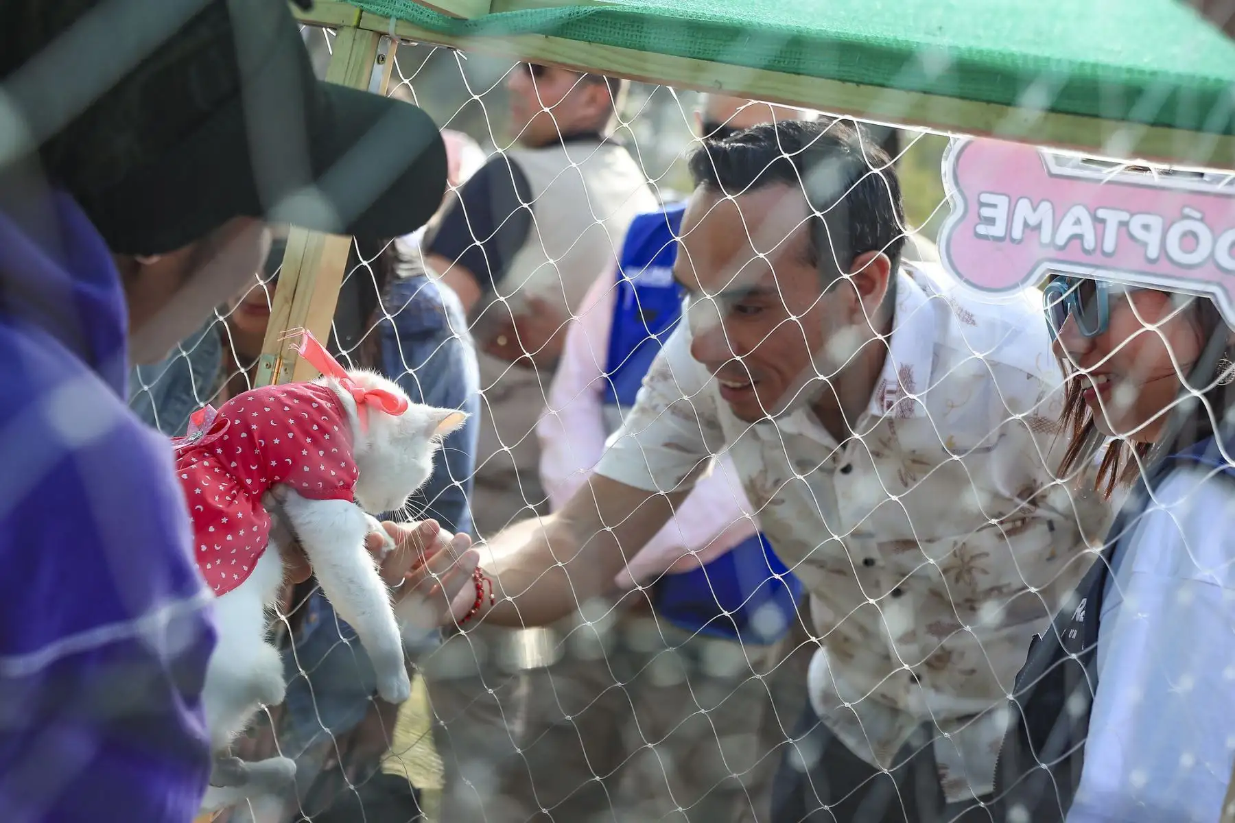 El presidente José Jerí y la ministra de Economía, Denisse Miralles, expresaron su respaldo a las organizaciones animalistas que participaron en la Adoptatón 2025, un evento de la Fundación Rayito con apoyo de la Municipalidad de Lima, destinado a ayudar a que más perros y gatos encuentren un hogar cálido y definitivo. Foto: Presidencia
