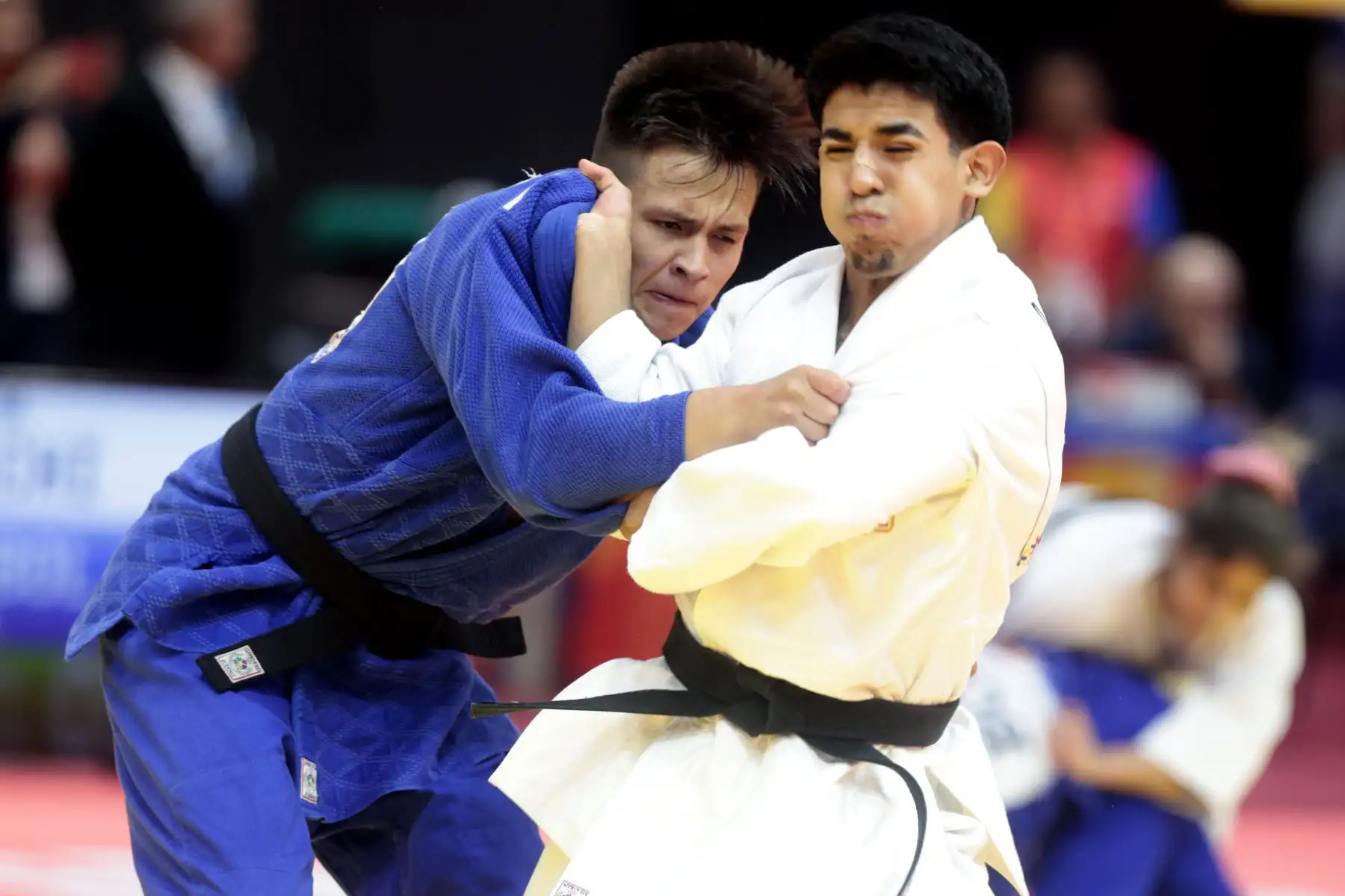 Con la participación de la delegación peruana, continúa la competencia de judo en los Juegos Bolivarianos 2025. Foto: ANDINA/Vidal Tarqui