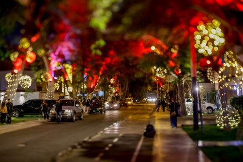 Volvió la calle más viral de Navidad y ya es parada obligatoria para vivir el espíritu festivo en Lima. La cuadra 2 de la Calle Daniel Hernández en el distrito de San Isidro, se ilumina cada noche con cientos de luces, colores y decoraciones navideñas que crean un ambiente mágico. Las luces se encienden desde las 6:30 pm, pero se recomienda llegar alrededor de las 7:00 pm. Foto: ANDINA/Luis Iparraguirre
