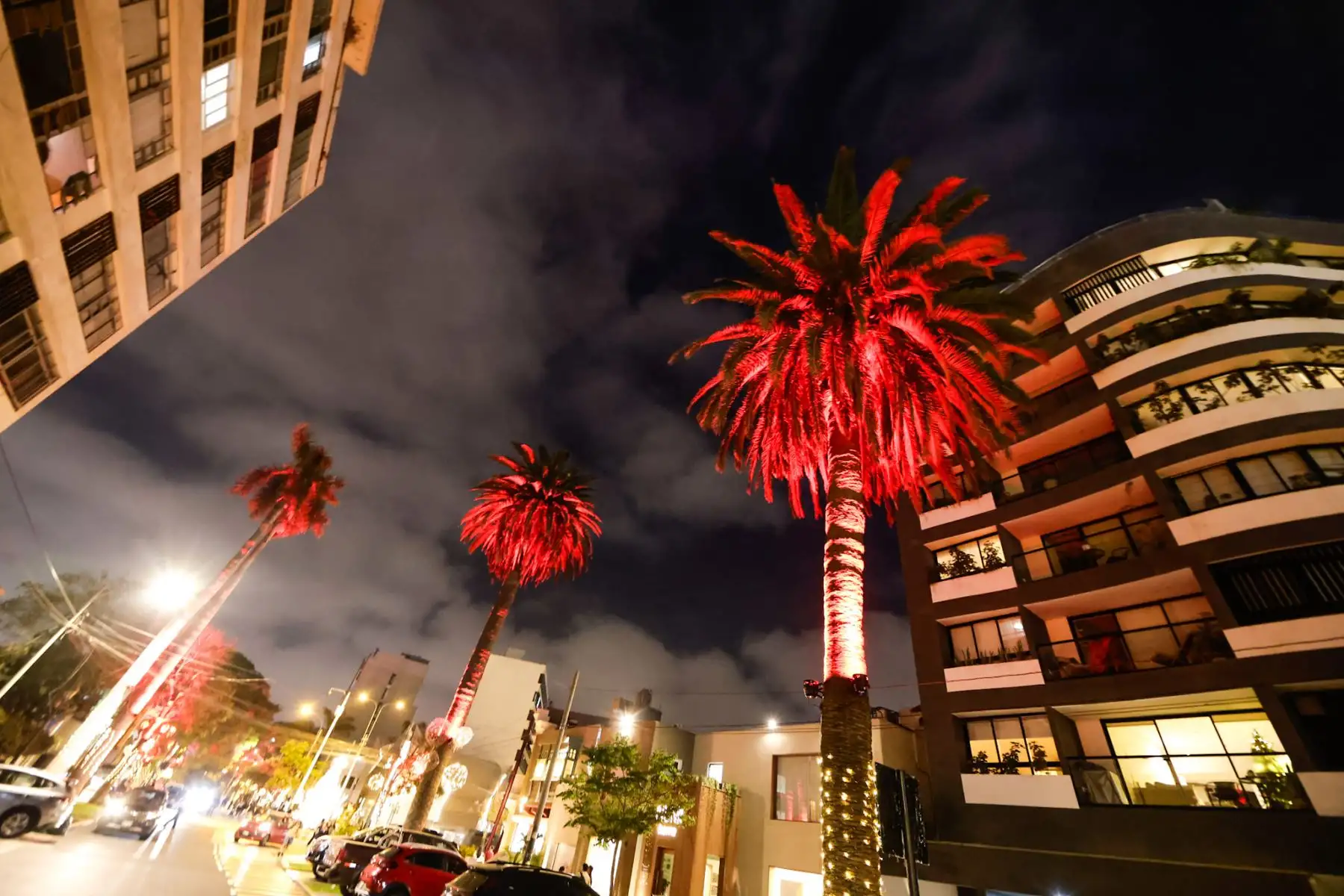 Volvió la calle más viral de Navidad y ya es parada obligatoria para vivir el espíritu festivo en Lima. La cuadra 2 de la Calle Daniel Hernández en el distrito de San Isidro, se ilumina cada noche con cientos de luces, colores y decoraciones navideñas que crean un ambiente mágico. Las luces se encienden desde las 6:30 pm, pero se recomienda llegar alrededor de las 7:00 pm. Foto: ANDINA/Luis Iparraguirre