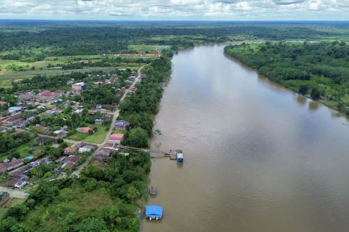 Ceplan planteó la meta de reforestar 3 millones de hectáreas en la Amazonía peruana. ANDINA/Difusión