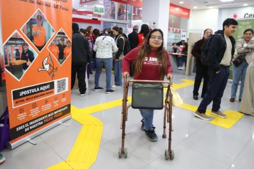 Empresas privadas llaman a trabajar a personas con discapacidad.  ANDINA/Difusión