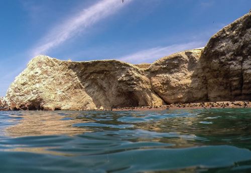 Las Islas Ballestas, ubicada en Ica, es uno de los lugares ideales para visitar este feriado largo del 6 al 9 de diciembre.