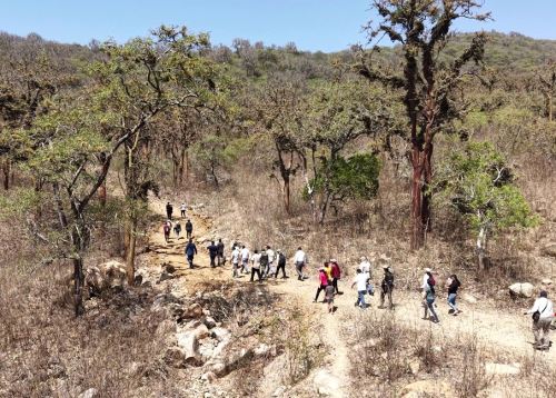 Diversas instituciones articulan acciones en Tumbes, Piura y Lambayeque para proteger el bosque seco de la tala ilegal. ANDINA/Difusión