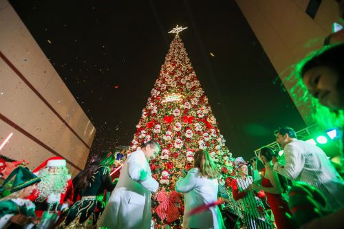 Se encendió el árbol navideño en el Instituto Nacional de Salud del Niño - San Borja