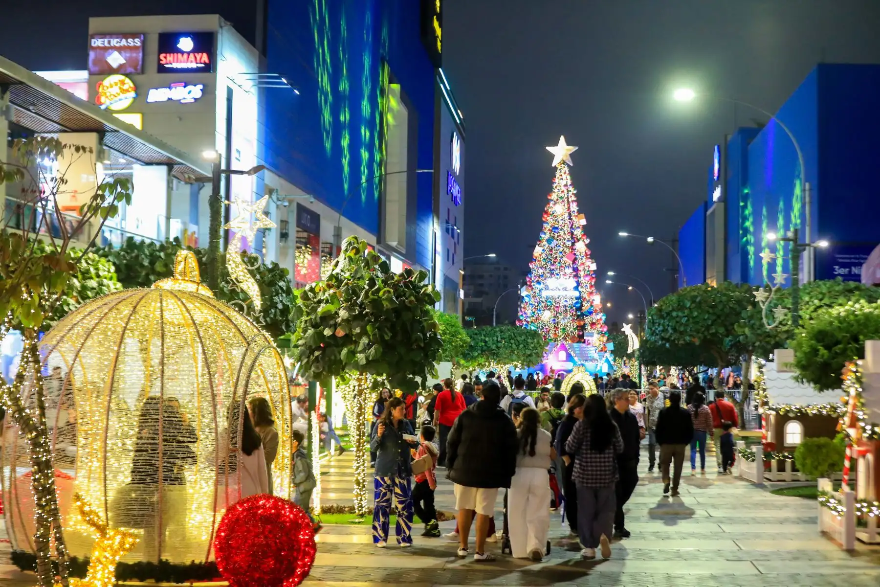 Destellos dorados y la promesa de Nochebuena en cada rincón es lo que espera a los que decidan visitar el boulevard. Foto: ANDINA/Ricardo Cuba
