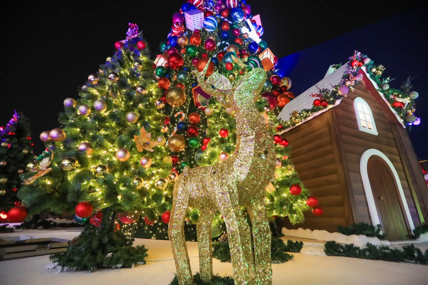 Casitas de jengibre llenas de luces son una gran atracción para quienes llegan al lugar en busca de imágenes navideñas para el recuerdo. 
Foto: ANDINA/Ricardo Cuba