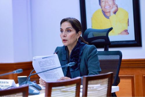 Subcomisión de Control Político presidido por la congresista Patricia Juárez Gallegos