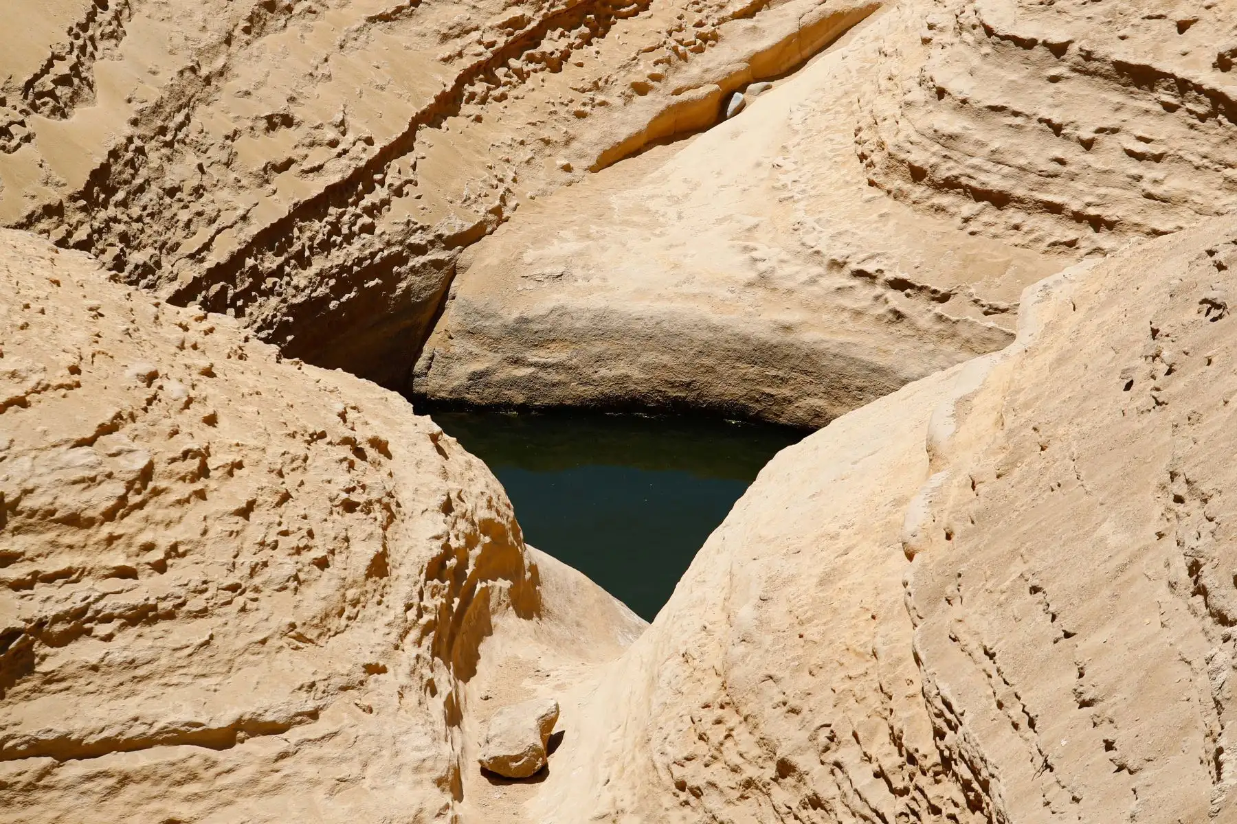 Pese a estar ubicado en un desierto, el Cañón de los Perdidos de Ica posee ciertos atractivos muy llamativos e inusuales como aves silvestres, un poco de vegetación, y también un pozo de agua estancada, causado por las lluvias y el agua del subsuelo, denominado “Ojo de Pez”. Foto: ANDINA/Daniel Bracamonte