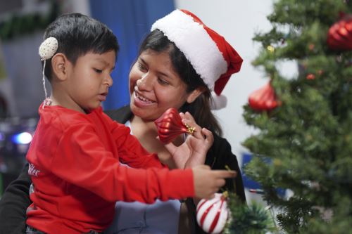 ANDINA/Prensa Presidencia