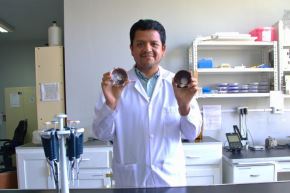 Biólogo sanmarquino lidera estudio que redefine el origen de la concha de abanico