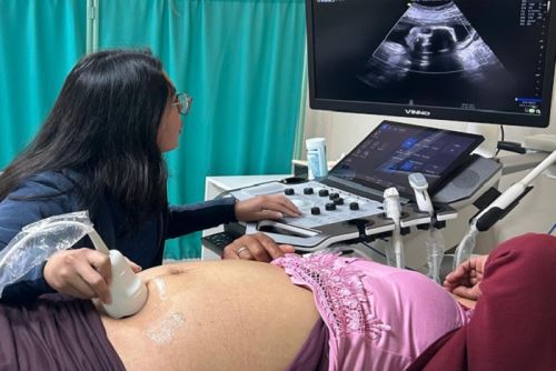 Las 12 Redes Integradas de Salud (RIS) han intensificado la identificación temprana de gestantes y reforzado la búsqueda activa de aquellas que no acuden a los controles,.