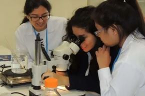 Esta es la sexta edición del certamen, enfocada en reconocer a las mujeres que, desde los laboratorios, las líneas de producción, los centros de ingeniería o las áreas de innovación, están liderando la transformación de la manufactura en América Latina. 