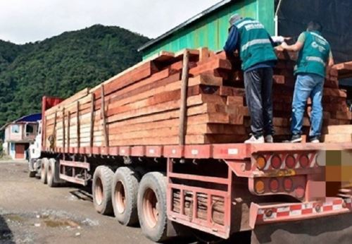 Condenan a más de 8 años de prisión efectiva a dos sujetos por tráfico ilegal de madera en Puno. ANDINA/Difusión