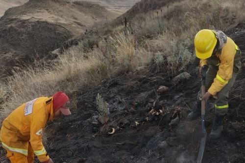 Las acciones continúan en la zona, debido a que las llamas de fuego siguen amenazando a la población local.