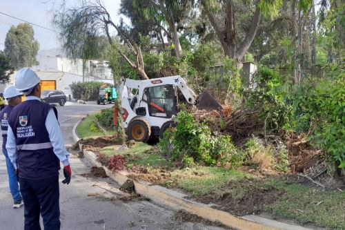 Municipalidad de Surco recupera espacio público en cinco parques de Los Álamos de Monterrico. Foto: ANDINA/Difusión