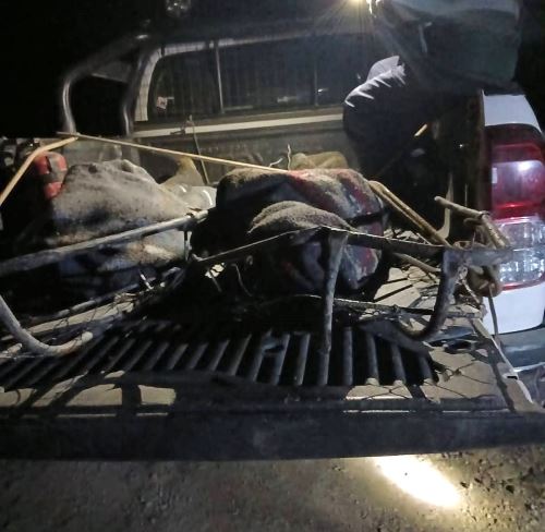 Grave accidente vial en Cusco deja al menos siete personas fallecidas. ANDINA/Difusión