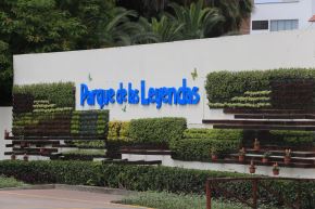 ANDINA/Héctor Vinces