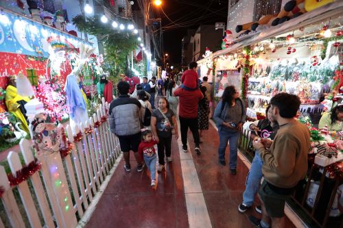 Vecinos de Comas sorprenden con la Torre Navideña, la Casa de Jengibre y la Casa de la Barbie, una iniciativa que desde hace años convoca a familias de Lima Norte. Foto: ANDINA