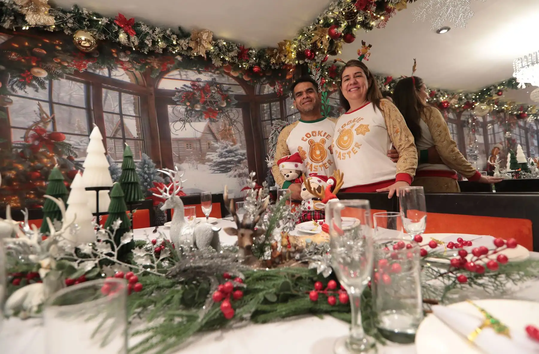 a Casa de Jengibre, ubicada en el pasaje Rázuri 172. La anfitriona, Grecia Luk Sánchez, señala que las puertas de su casa se abren cada Navidad desde hace 12 años y que en cada ocasión la temática cambia, a modo de sorpresa para los visitantes.
ANDINA/Verónica Calderón Zúñiga