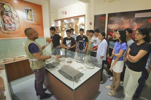 El Ministerio de Cultura informó que los más de 50 museos a nivel nacional permanecerán abiertos durante toda la semana. Foto: Mincul