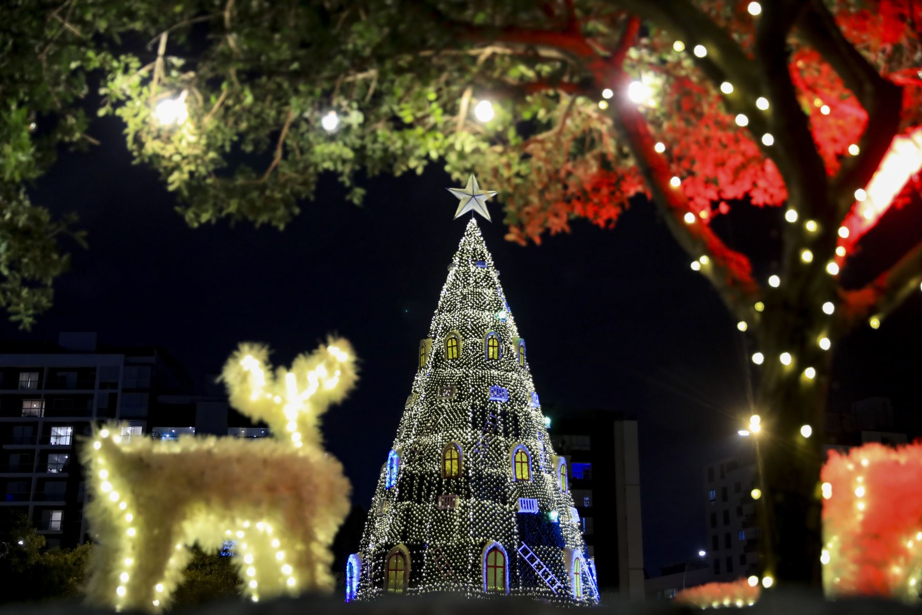 El parque de La Familia, en San Borja, luce un gran árbol navideño que ilumina el lugar. Visitantes y transeúntes se detienen para hacerse fotografías. Foto: ANDINA/Ricardo Cuba