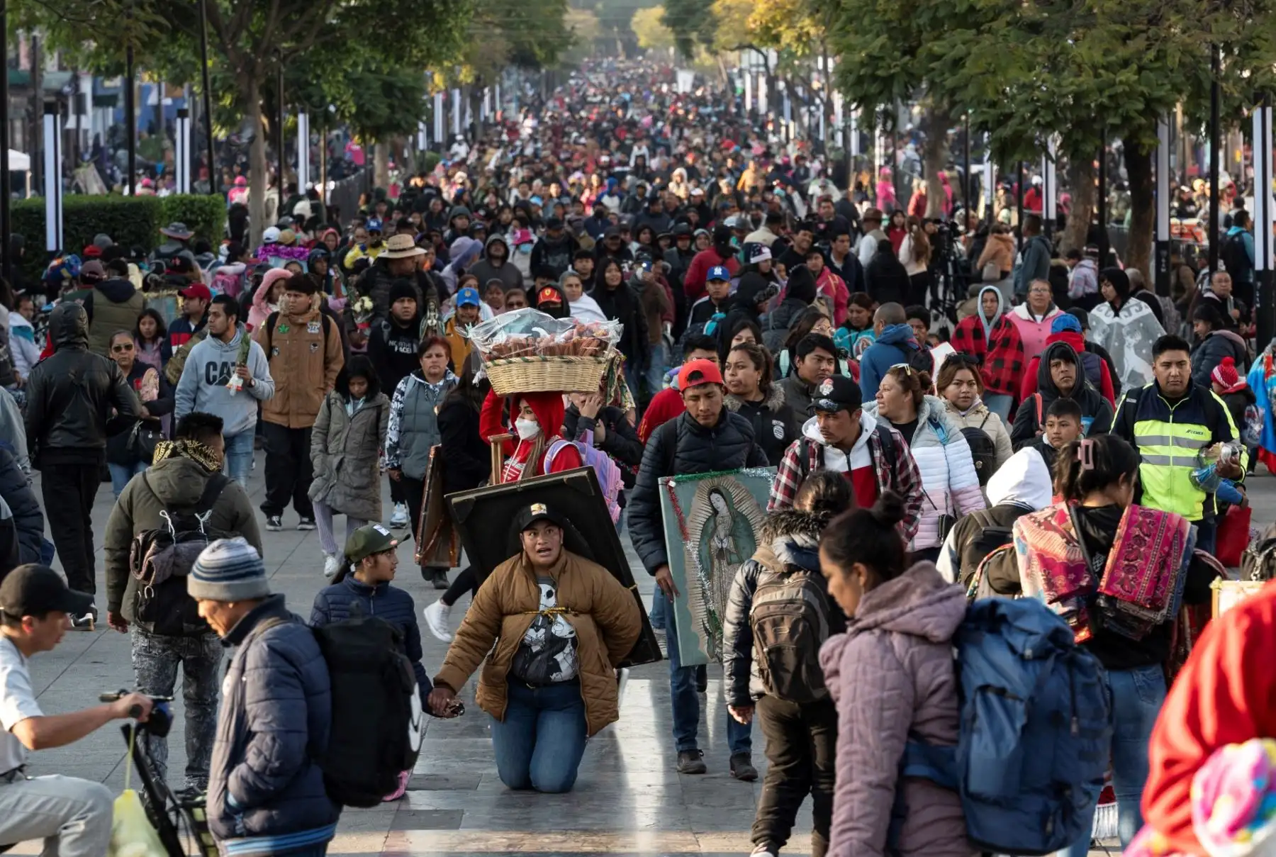 Hoy se celebra el Día de la Virgen de Guadalupe, Patrona de América, una devoción que también convoca a millones de fieles en la región, incluido el Perú. En Ciudad de México se espera la llegada de 13 millones de peregrinos a la Basílica, resguardados por un amplio operativo de seguridad. La festividad, que honra las apariciones de 1531, reafirma la profunda identidad religiosa compartida en el continente. Foto: AFP