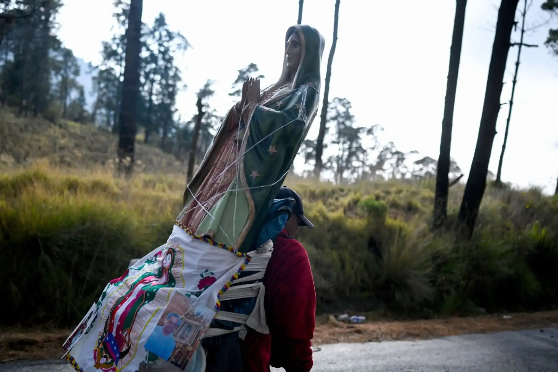 Hoy se celebra el Día de la Virgen de Guadalupe, Patrona de América, una devoción que también convoca a millones de fieles en la región, incluido el Perú. En Ciudad de México se espera la llegada de 13 millones de peregrinos a la Basílica, resguardados por un amplio operativo de seguridad. La festividad, que honra las apariciones de 1531, reafirma la profunda identidad religiosa compartida en el continente. Foto: AFP