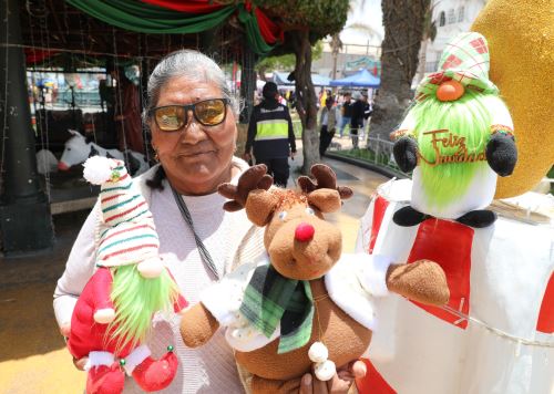 Doña Sabina Llanque confecciona muñecos navideños, un emprendimiento que ha lanzado aprovechando las fiestas de fin de año y cuenta con el apoyo del programa Pensión 65. ANDINA/Difusión