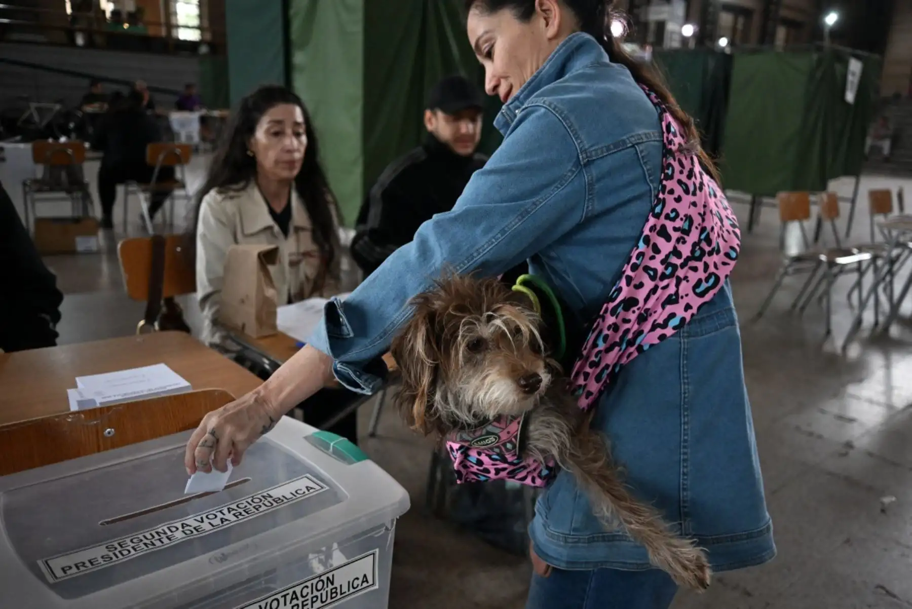 Una mujer que lleva a su perro emite su voto durante la segunda vuelta de las elecciones presidenciales en Estacion Mapocho en Santiago el 14 de diciembre de 2025. Los chilenos se dirigen a las urnas para una resección presidencial entre Jeannette Jara, una comunista respaldada por una amplia coalición de izquierda, y José Antonio Kast, un devoto político de extrema derecha que promete una línea dura en seguridad y migración. (Foto de Eitan ABRAMOVICH / AFP)