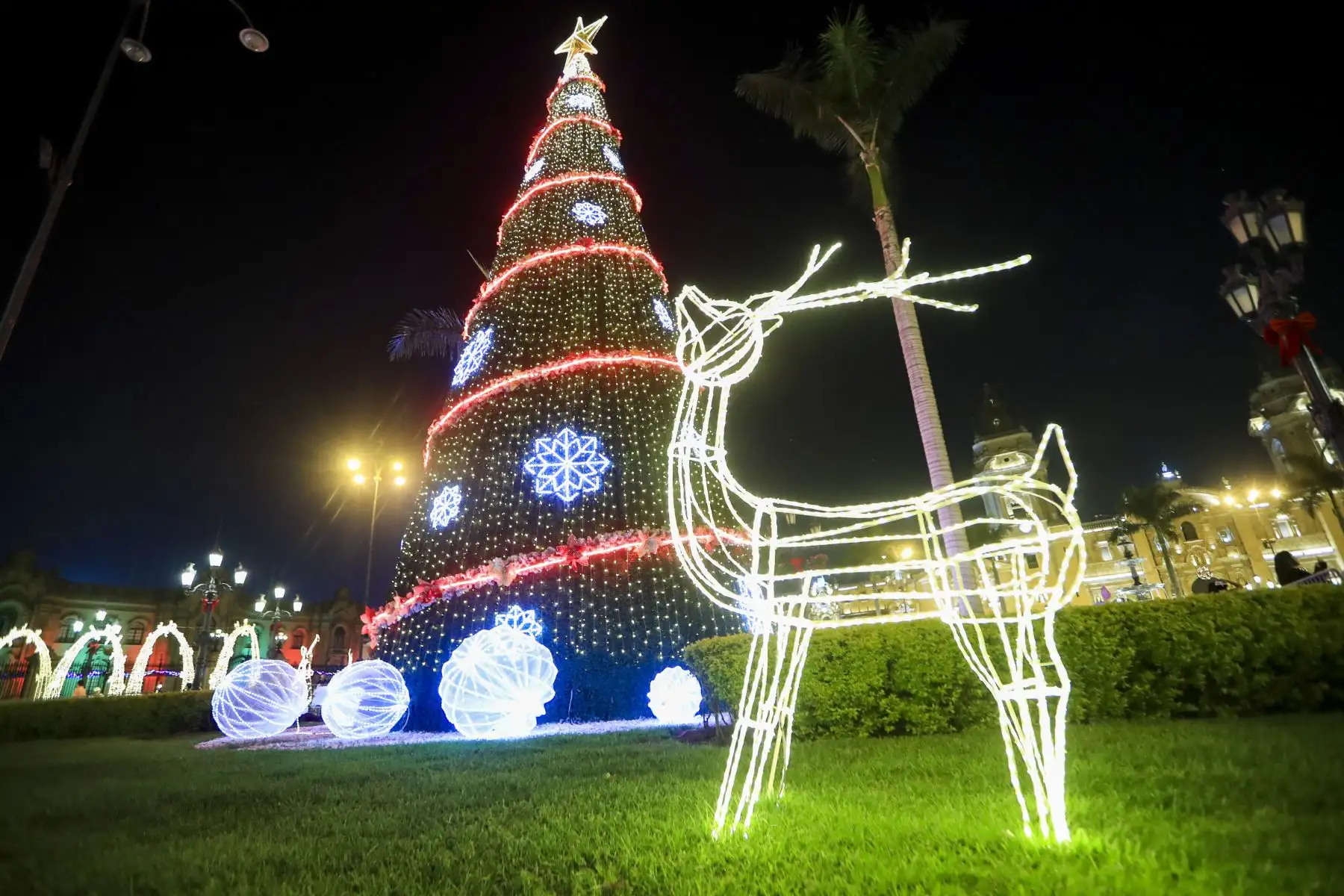 Árboles de Navidad decorados con luces y motivos festivos embellecen plazas y espacios públicos, convirtiéndose en puntos de encuentro para familias que celebran la cercanía de las fiestas. Foto: ANDINA/Ricardo Cuba