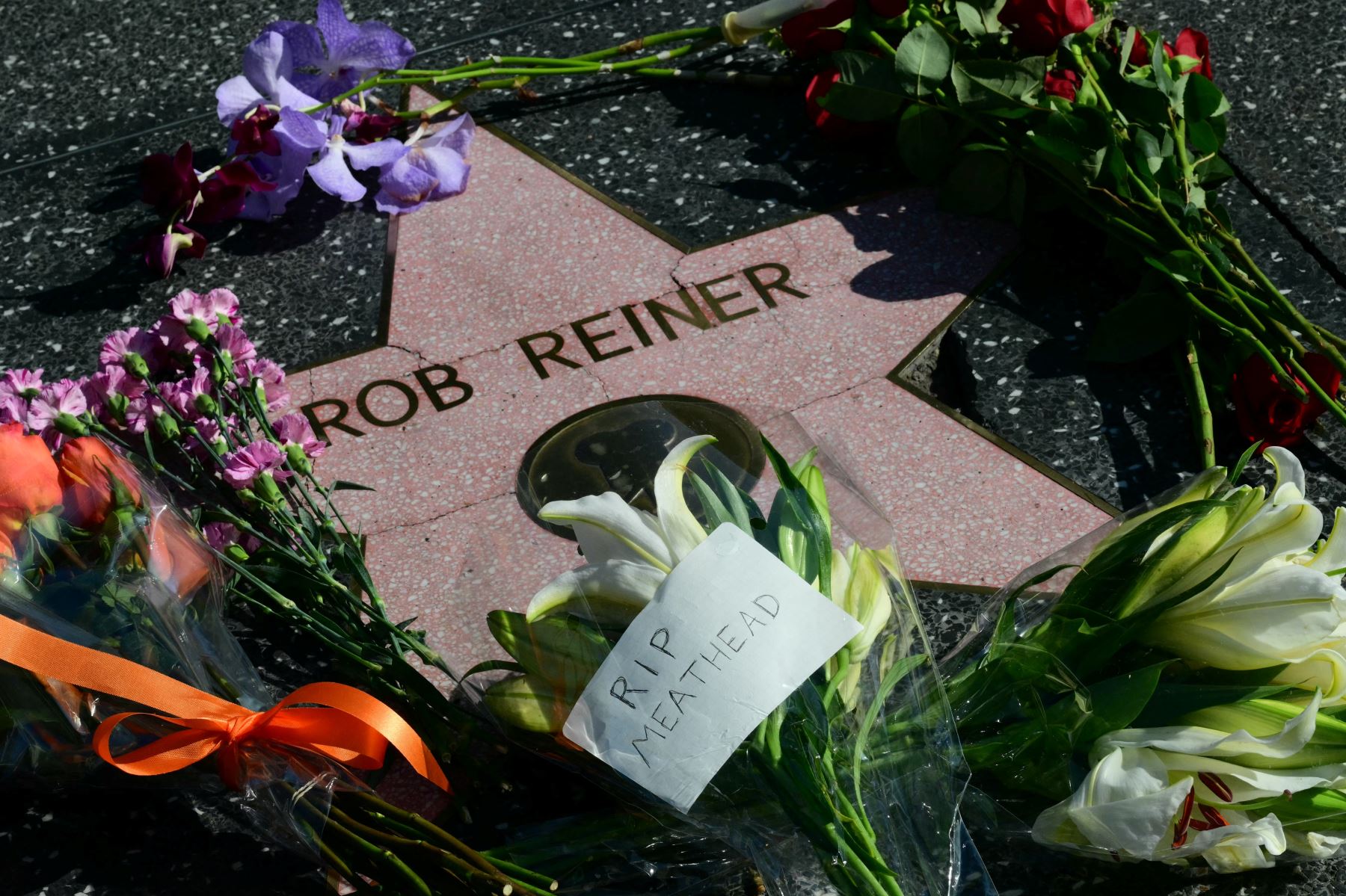 Flores en la estrella del actor y director estadounidense Rob Reiner en el Paseo de la Fama de Hollywood en Los Ángeles, California, el 15 de diciembre de 2025, tras ser hallado muerto en su mansión junto a su esposa. Foto: AFP