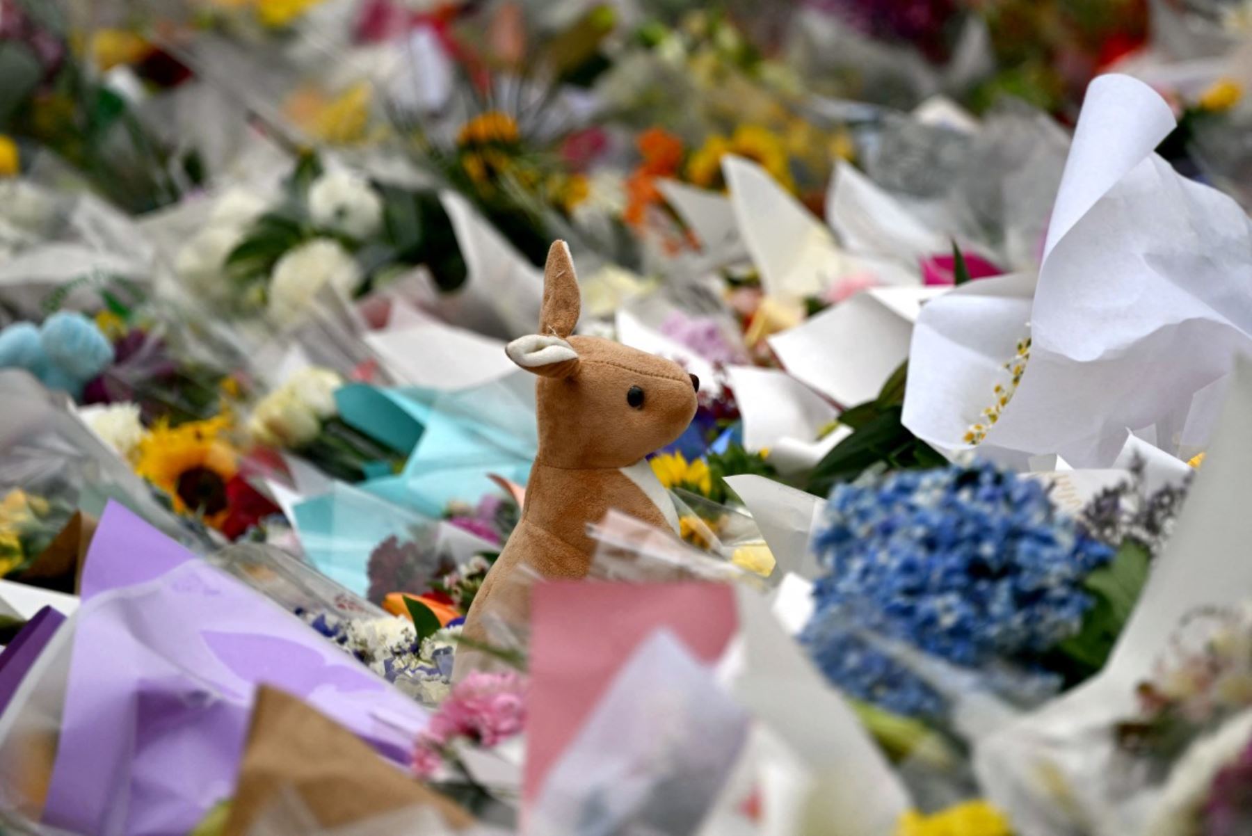 Dejan flores en memoria de las víctimas de un tiroteo en Bondi Beach, en Sídney. AFP