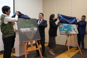 Adquirir estas estampillas (S/ 7.60 y S/ 3.60) es más que un acto postal; es un compromiso con la protección de nuestras áreas naturales protegidas y su biodiversidad que nos hace únicos. Foto: Sernanp