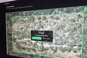 La plataforma Queñaris representa un avance tecnológico clave para la reforestación inteligente de queñua en Arequipa,