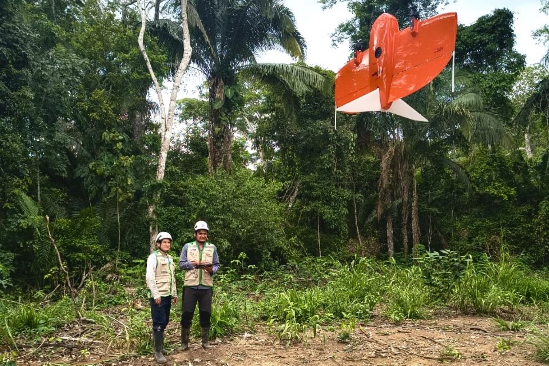 El dron WingtraOne VTOL es una tecnología de última generación y de largo alcance empleada recientemente en la supervisión de una concesión forestal en Madre de Dios. Foto: Osinfor