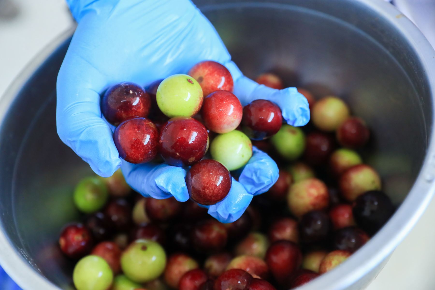 El presidente de la república, José Jerí, recorrió el CITE Productivo Maynas, donde especialistas promueven la transferencia tecnológica y competitividad de las Mipymes y unidades productivas en sectores como agroindustria, pesca y acuicultura, enfocado en el desarrollo de productos de la Amazonía peruana. Foto: Presidencia