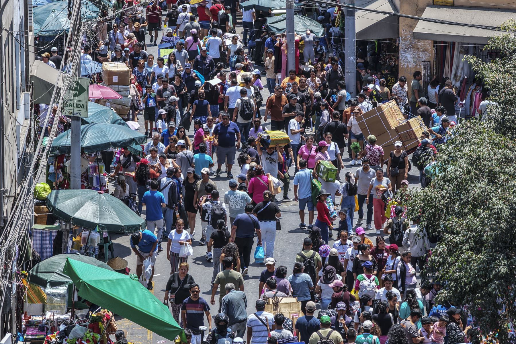El dirigente indicó que los comerciantes se preparan para la campaña de fin de año desde hace varios meses. Para ello, adquieren mercadería tanto del extranjero como de la producción nacional. Foto: ANDINA/Jhonel Rodríguez Robles