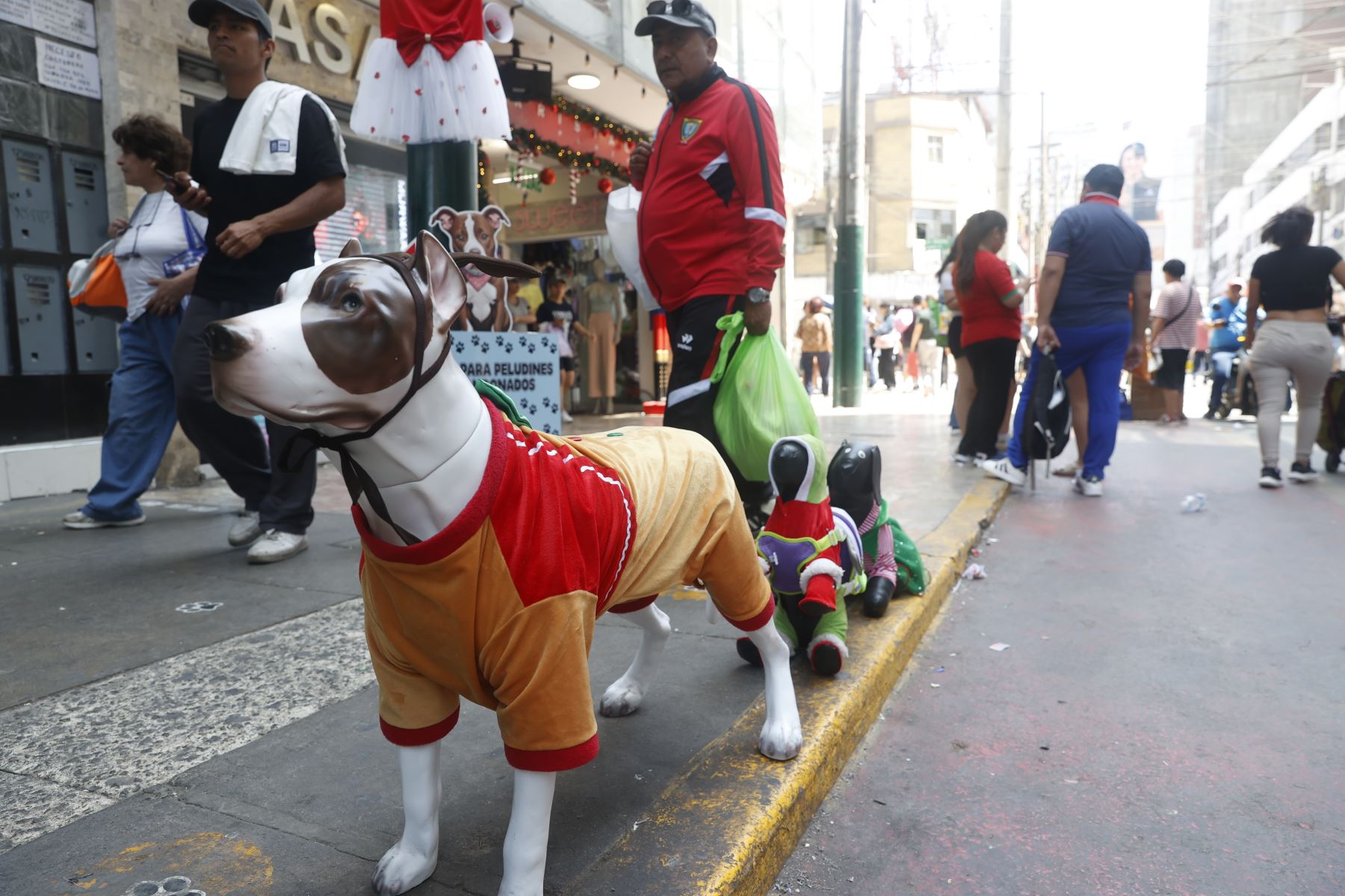 En declaraciones a la Agencia Andina, Casaretto advirtió que el país aún carece de una sólida cultura de prevención, lo que lleva a muchas personas a desatender las recomendaciones formuladas por la municipalidad, Defensa Civil y el Cuerpo General de Bomberos orientadas a proteger la integridad y la vida.
Foto: ANDINA/Vidal Tarqui