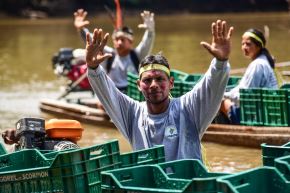 Se trata de una de las experiencias más emblemáticas de conservación de la biodiversidad (taricayas) en las áreas naturales protegidas del Perú. Foto: MEF