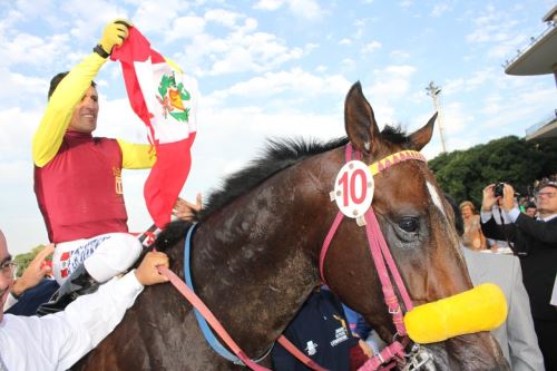 El Gran Premio Nacional Augusto B. Leguía cerrará la carrera del gran Edwin Talaverano.