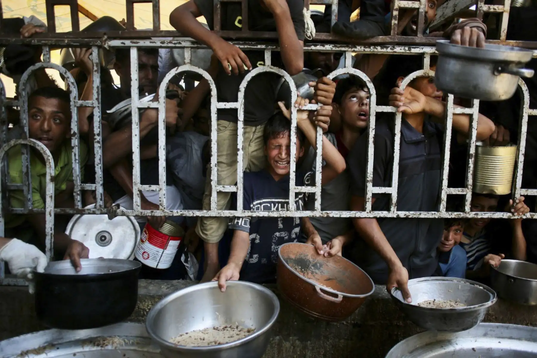 Niños palestinos esperan una comida en una cocina benéfica en el área de Mawasi de Khan Yunis en el sur de la Franja de Gaza el 22 de julio de 2025. El jefe del hospital más grande de Gaza dijo que 21 niños han muerto debido a la desnutrición y el hambre en el territorio palestino en los últimos tres días, en medio de un devastador asalto de las fuerzas israelíes. (Foto de AFP)