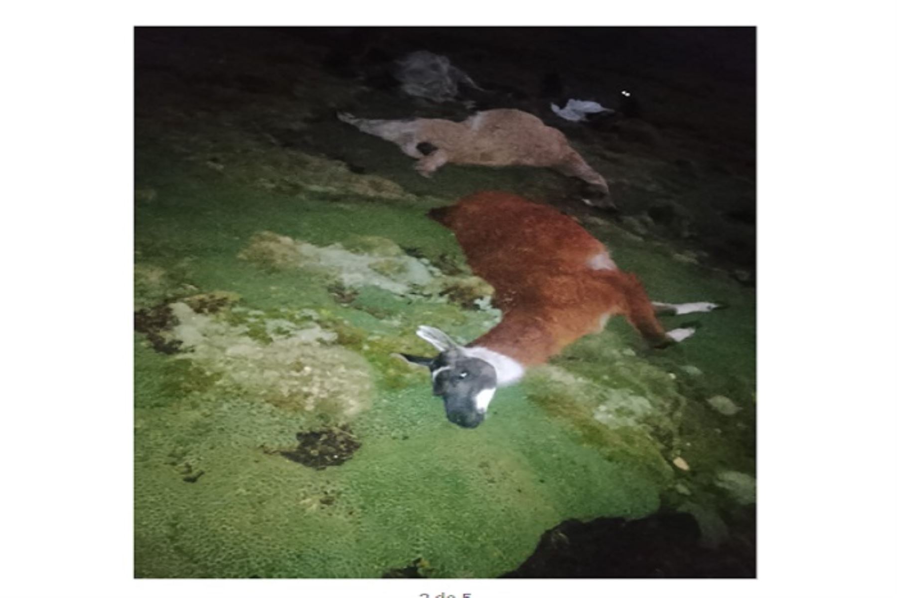 Las autoridades continúan monitoreando la situación y coordinando acciones para mitigar los impactos en la población.