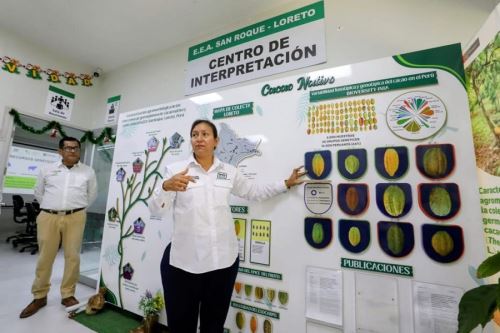 El Midagri realizó jornada de impulso a la innovación al desarrollo productivo sostenible en la región Loreto. Foto: Cortesía.